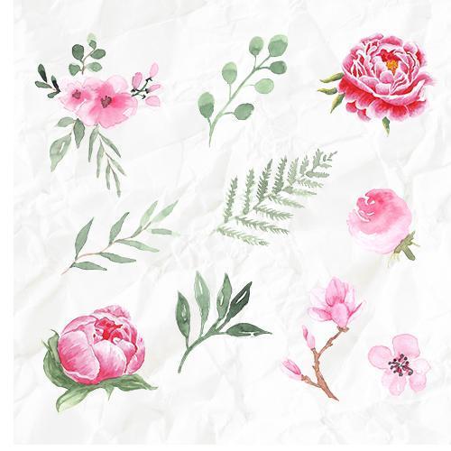 Set Aquarell-Zeichnungen "Rosa Blumen"